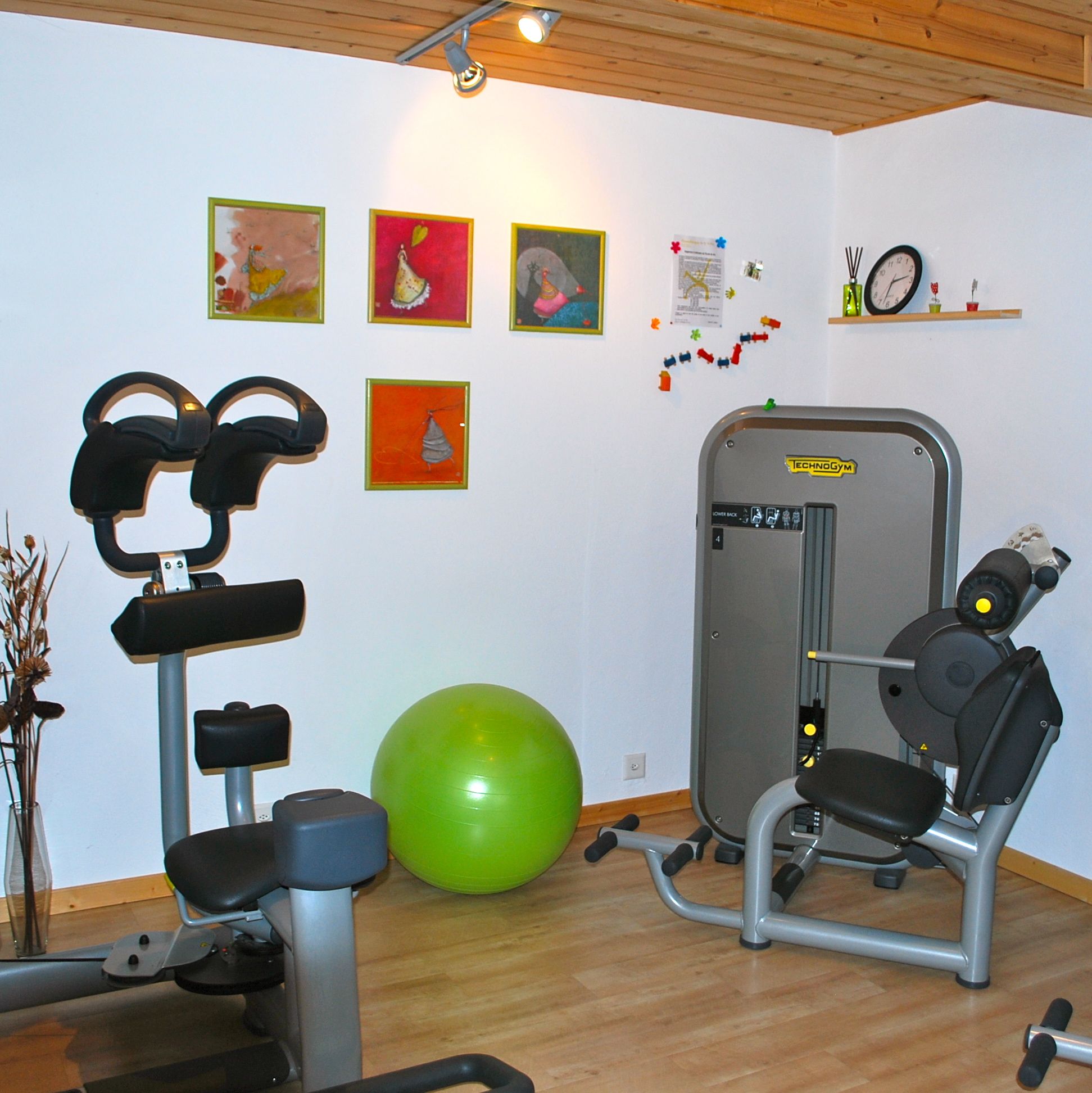 fitness vi1